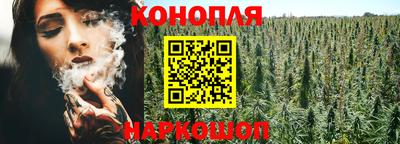 прущие грибы Бузулук