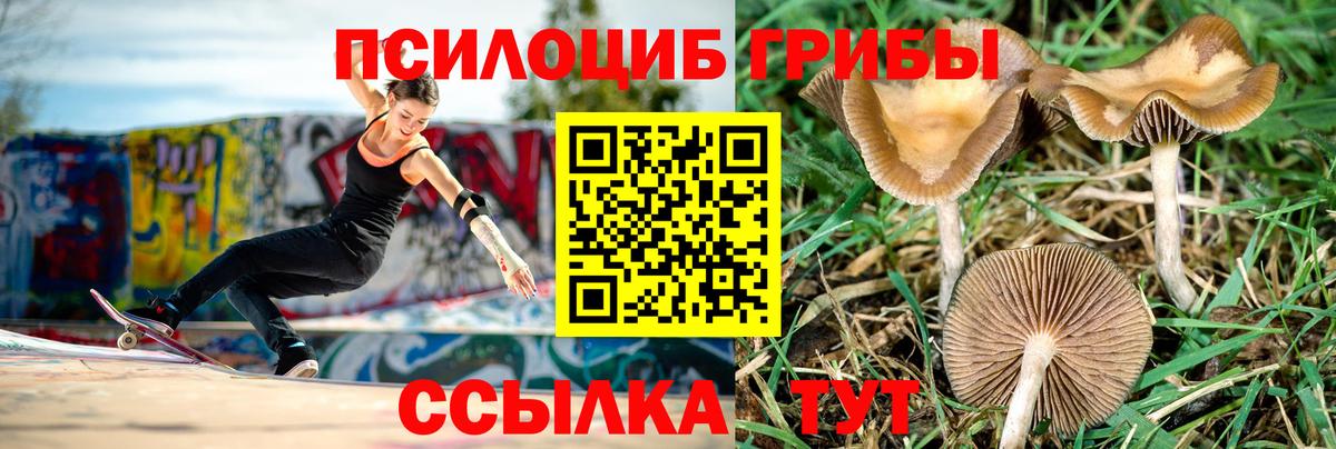 Тельмана  Галлюциногенные грибы ЛСД  Вход с VPN 