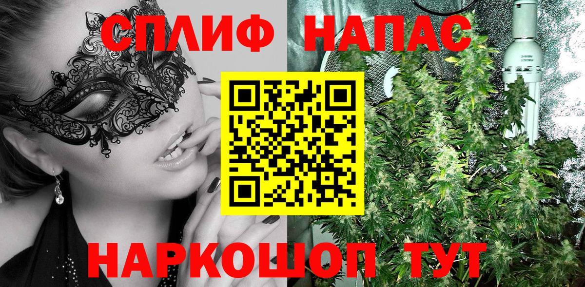 Конопля планчик Тельмана
